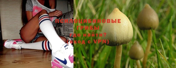 Альфа ПВП Россошь