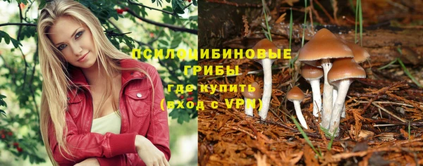 кокс Никольск