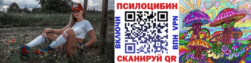 Псилоцибиновые грибы MAGIC MUSHROOMS  где купить   Соль-Илецк 