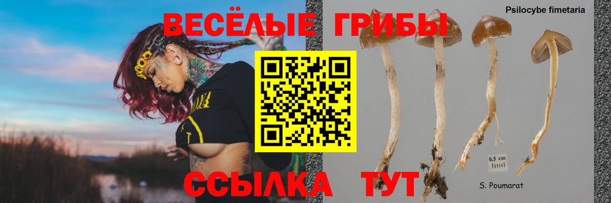 Псилоцибиновые грибы GOLDEN TEACHER  Вход с VPN  Соль-Илецк 